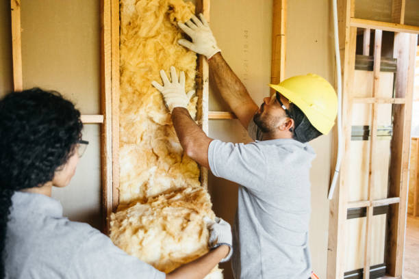 Best Commercial Insulation Services  in Berne, IN